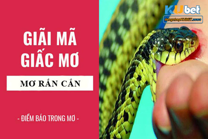 Mơ thấy bị rắn cắn